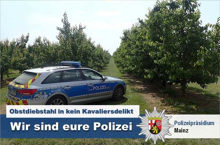 Obstdiebstahl beschäftigt die Polizei