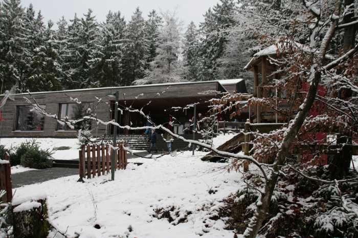 Weihnachtsbaumverkauf und kleiner Weihnachtsmarkt im Ingelheimer Wald - Quelle: Stadt Ingelheim