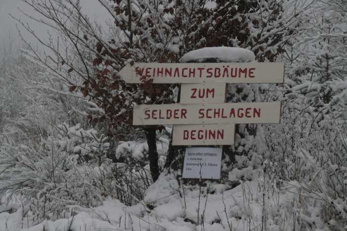 Weihnachtsbaumverkauf und kleiner Weihnachtsmarkt im Ingelheimer Wald - Quelle: Stadt Ingelheim