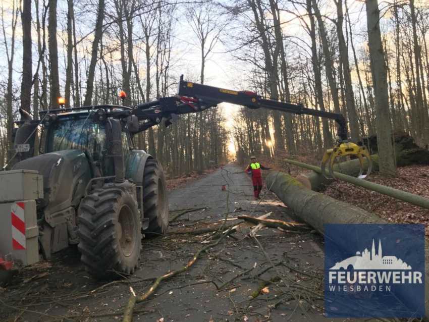 Sturmschäden © Feuerwehr Wiesbaden