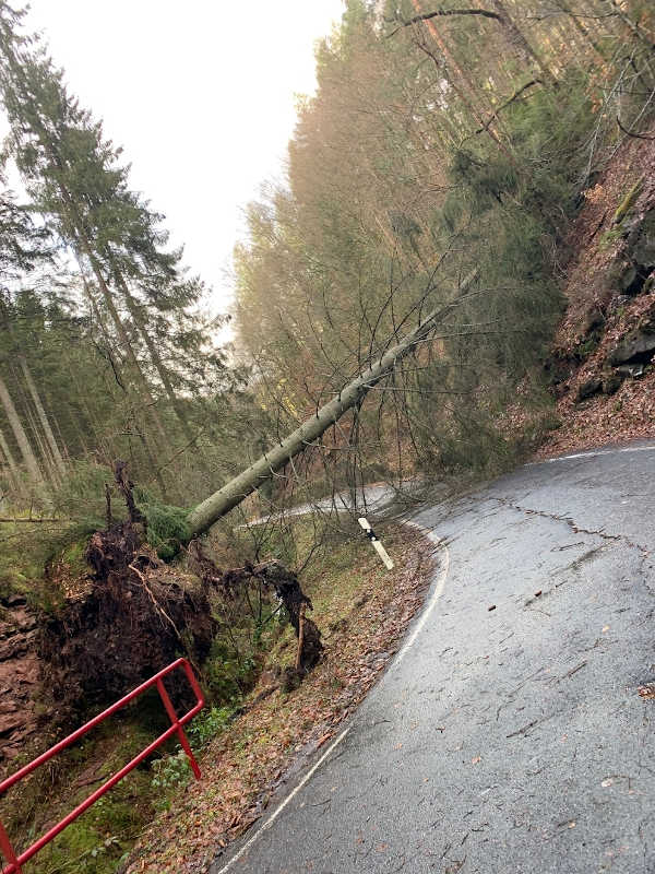 Sturmeinsatz (Foto: Presseteam der Feuerwehr VG Lambrecht)