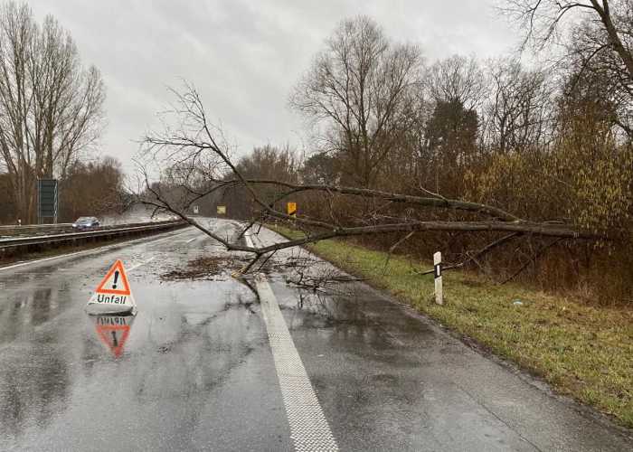 Germersheim Umgest Rzter Baum Verursacht Verkehrsunf Lle