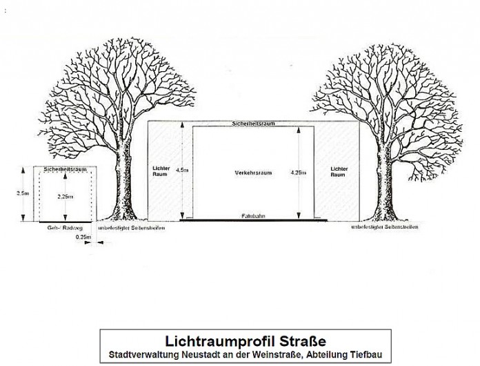 Regelungen bei überwuchernden Pflanzen und verschmutzten