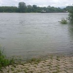 Ludwigshafen Rhein Hochwasser Unwetter Pegelstand Wasserspiegel