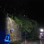 Weidenthal Frankenstein Baum auf Straße Feuerwehr