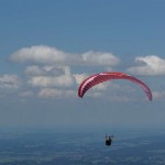 Paraglider