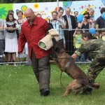 RLP-Tag 2016 Alzey Bundeswehr