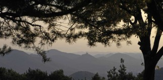 Blick auf den Trifels (Foto. Pfalz.Touristik)