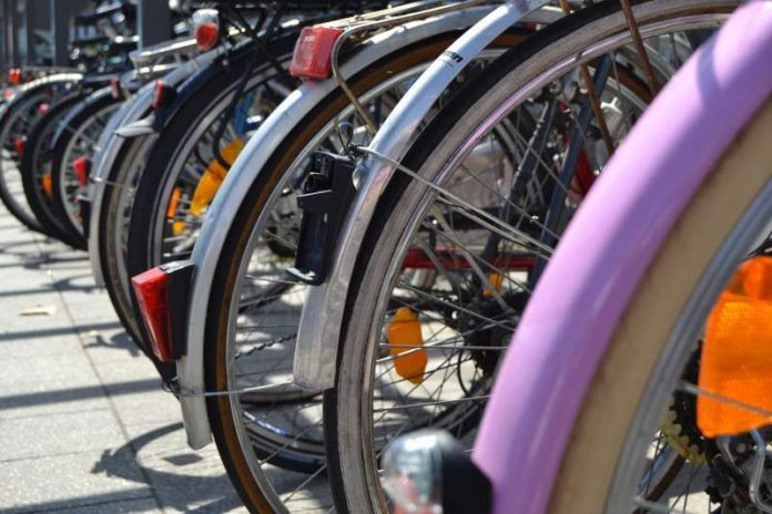 Der Bedarf an Fahrradabstellplätzen am Landauer Hauptbahnhof ist unvermindert hoch. Aktuell finden hier rund 400 Räder Platz – an Fahrradbügeln, in Fahrradboxen und in einem neu sanierten Fahrradabstellraum. (Foto: Stadt Landau in der Pfalz)