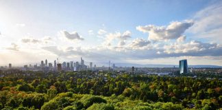 Stadtwald mit Skyline (Foto: Stefan Cop)