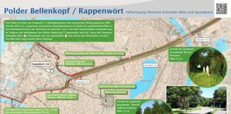 Auf dieser Informationstafel nahe der Straßenbahn-Endhaltestelle Rappenwört ist die die geplante Spundwand visualisiert. Darin ist der vorgesehene Trassenverlauf am Rande des Rheinparks weitgehend am Waldrand beziehungsweise im Wald und die Bepflanzung von immergrünem Buschwerk vor der Spundwand zu erkennen. Es ist auch eine Begrünung der Spundwand selber vorgesehen. Die Sichtbeziehung zur Eiswiese und zum Freibad wird hierdurch nicht beeinträchtigt. (Foto: Regierungspräsidium Karlsruhe)