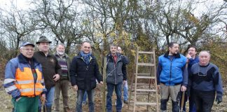 In Lingenfeld wurden Obstbäume gepflanzt (Foto: Kreisverwaltung Germersheim)