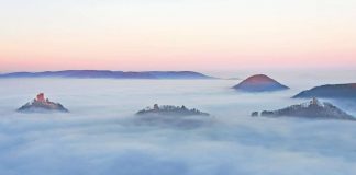 Trifels im Nebel: Die Burgen Trifels, Anebos und Münz (Foto: pmbvw)