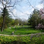 Grünflächen wie der Landauer Goethepark sind wichtig für das Klima einer Stadt – vor allem im Sommer. Ein Klimaanpassungskonzept, wie es auch die Stadt Landau erstellen lassen will, soll die Auswirkungen des Klimawandels abmildern. Dies kann etwa durch das Pflanzen von Bäumen oder das Verknüpfen einzelner Grünflächen geschehen.  (Foto: Stadt Landau in der Pfalz)