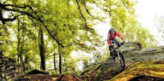 Der Pfälzerwald, das größte zusammenhängende Waldgebiet Deutschlands, bietet eine ideale Mountainbike-Topografie mit abwechslungsreichen Höhenprofilen. Auf über 300 Kilometern übersichtlich ausgeschilderten Touren, verfügt der Mountainbikepark über eine Vielzahl verschiedener Wege mit schmalen Pfaden, steilen Anstiegen und technisch anspruchsvollen Abfahrten. Eindrucksvolle Aussichten wechseln sich mit interessanten Sehenswürdigkeiten ab und urige Hütten bieten den Bikern eine herzliche Bewirtung. (Pfalz.Touristik e.V.)