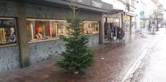 Weihnachtsbäume werden am 7. und 14. Januar 2017 gesammelt (Foto: Stadt Sinsheim)