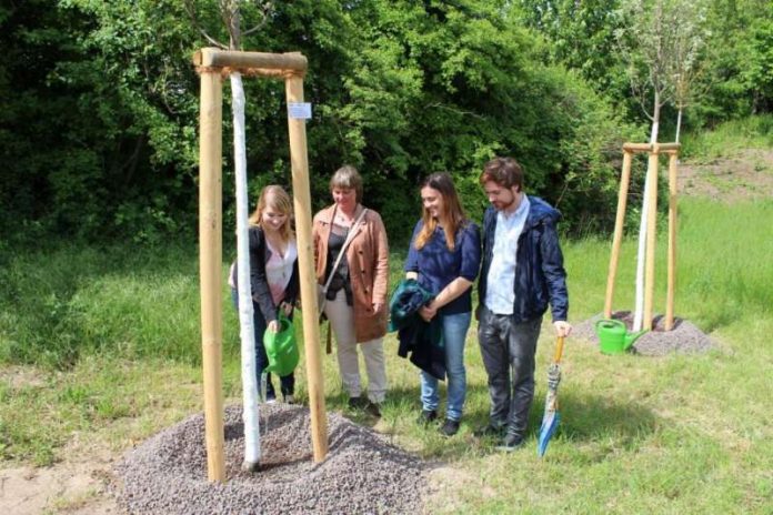 Bürgerschaft spendet Bäume im Bügerpark Wingertsbuckel 2015 (Foto: Stadt Mannheim)