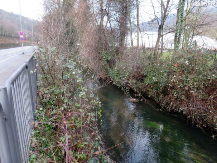 Im Rahmen der Renaturierung wird die linke (zugewachsene) Mauer in weiten Teilen durch eine Böschung ersetzt. (Foto: Stadtverwaltung)