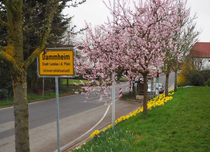 Gemeinsam mit dem neuen Dorfentwicklungspartner Jochen Blecher lädt die Stadt Landau am 1. April um 14 Uhr zur ersten Auftaktveranstaltung im Rahmen des Dorfentwicklungsprozesses in die Turnhalle Dammheim ein. (Foto: Stadt Landau in der Pfalz)