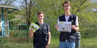 Aufgabe für die Volunteers: Infostände im Zoo. Zudem können sich die Ehrenamtlichen noch in weiteren Bereichen engagieren. (Foto: Zoo Karlsruhe)