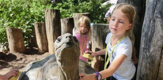 In den Osterferien bietet die Zooschule Heidelberg spannende Ferienprogramme für Schulkinder ab 6 Jahren. (Foto: Zooschule Heidelberg)