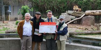 Gerhard Bartelmus, Dr. Dietrich Lorenz und Jürgen Pföhler (v.l.n.r.) überreichten gemeinsam den 15.000 Euro-Spendenscheck an Dr. Klaus Wünnemann (Mitte). (Foto: Zoo Heidelberg)