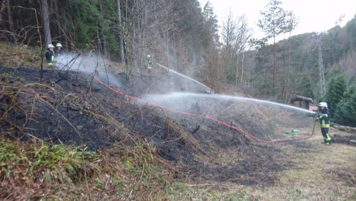 Der Flächenbrand wurde gelöscht (Foto: Feuerwehr)