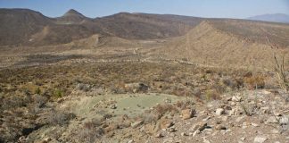 Landschaft in der Gegend von Paredon: Hier sind die Wissenschaftler im Rahmen von paläontologischen Untersuchungen auf Fossilien-Abdrücke gestoßen. (Foto: Wolfgang Stinnesbeck)