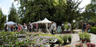 Romantisches Gartenfest auf Schloss Dhaun (Foto: Verbandsgemeinde Kirn-Land)