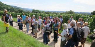 Pia Keßler-Schül erläutert den ‚Badenblick‘ (Foto: Kreisstadt Heppenheim)