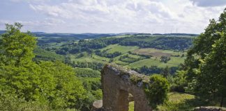 Moschellandsberg (Foto: Donnersberg-Touristik-Verband)