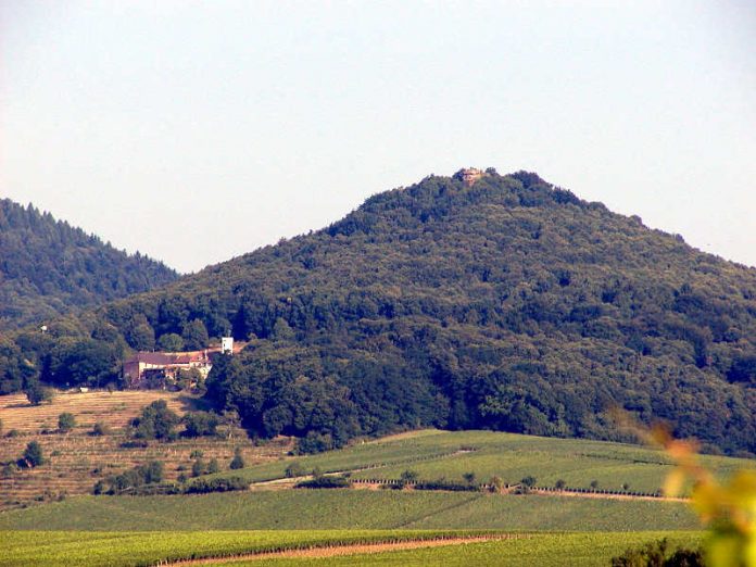 Slevogthof und Ruine Neukastel