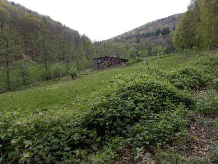 Charakteristisch für die hiesige Landschaft und ökologisch von besonderer Bedeutung: das Handschuhsheimer Mühltal. (Foto: Stadt Heidelberg)