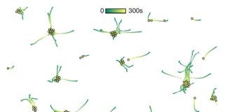 physik_KOMET_kolloidale_molekuele