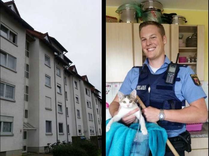 Gerettet - Das Katzenbaby ist wieder in Sicherheit