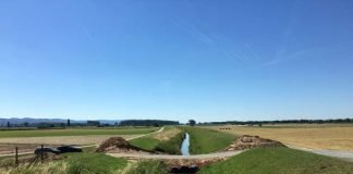 Wenn die alten Weschnitz-Arme von der Wasserzufuhrt abgeschnitten werden, fallen diese schnell trocken. Die Fische müssen deshalb zeitnah aus dem verbleibenden Wasser geborgen werden. (Quelle: Regierungspräsidium Darmstadt)