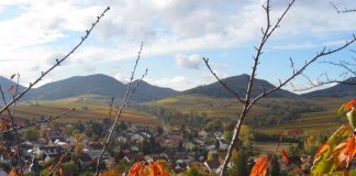 Wunderschöne Pfalz: Die Region der Süd- und Vorderpfalz hat für Einheimische, aber auch für Touristinnen und Touristen viel zu bieten. (Foto: Stadt Landau in der Pfalz)