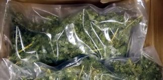 Marihuana Postpaket