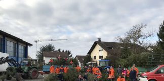 Christbaumsammelaktion im Ortsteil Sulzbach (Foto: Feuerwehr Weinheim)