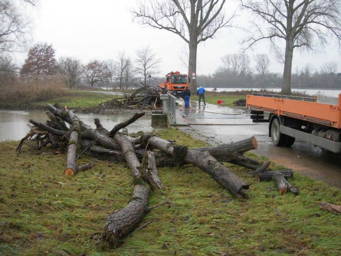 Beschäftige der RP-Deichmeisterei beseitigen Treibgut am Nordheimer Altrhein. (Foto: RP Darmstadt)