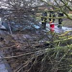 Orkantief „Burglind“ hat auch in Landau Bäume entwurzelt und Äste abgerissen. Die Feuerwehr musste zu zahlreichen Einsätzen ausrücken. (Foto: Feuerwehr Landau)