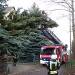 Einsatz in der Landwehrstraße (Foto: Feuerwehr Neustadt)