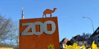 Ein Zeichen der Kontinuität: Der komplette geschäftsführende Vorstand des Freundeskreises des Landauer Zoos wurde in der jüngsten Mitgliederversammlung des Fördervereins im Amt bestätigt. (Foto: Stadt Landau in der Pfalz)