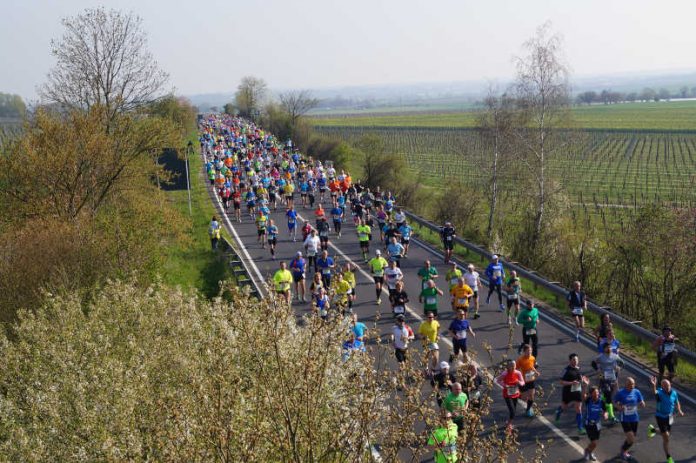 Marathon Deutsche Weinstraße (Foto: Kreisverwaltung Bad Dürkheim)