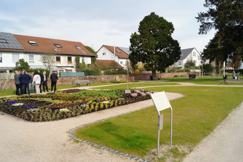 Das neu bepflanzte Grabfeld mit hochwertigen Stauden und edlen Gehölzen beinhaltet Platz für vier Erd- und 16 Urnengräber mit individuellen Grabsteinen sowie elf Urnenbeisetzungen am Baum. (Foto: Stadt Rheinstetten)