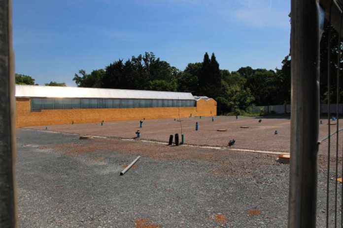 Die Baustelle des kommenden Blüten- und Schmetterlingshauses (Foto: Palmengarten Frankfurt)