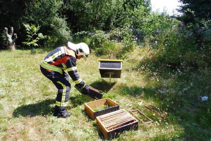 Die Pirmasenser Feuerwehr konnte in Übergreifen der Flammen auf die Bienenvölker verhindern, die rings um eine Hütte aufgestellt waren, die Feuer gefangen hatte. (Foto: Feuerwehr Pirmasens)