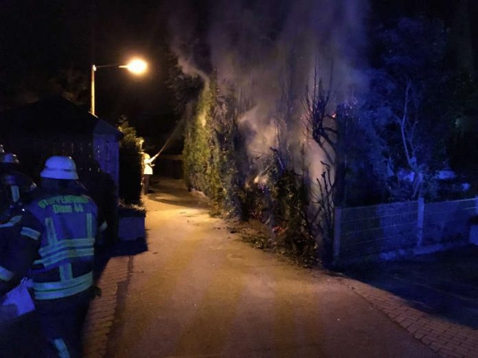 Aus bisher ungeklärter Ursache war eine Thuja Hecke in Brand geraten. (Foto: Feuerwehr Dossenheim)