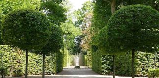 Boskett im Schlossgarten Schwetzingen (Foto: Henrike von Werder-Zyprian/SSG-Pressebild)