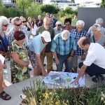 Mit großem Interesse verfolgten Bürger und Bürgerinnen die Fortschritte im Sanierungsgebiet auf einer Führung und auf Plänen. (Foto: Stadt Sinsheim)